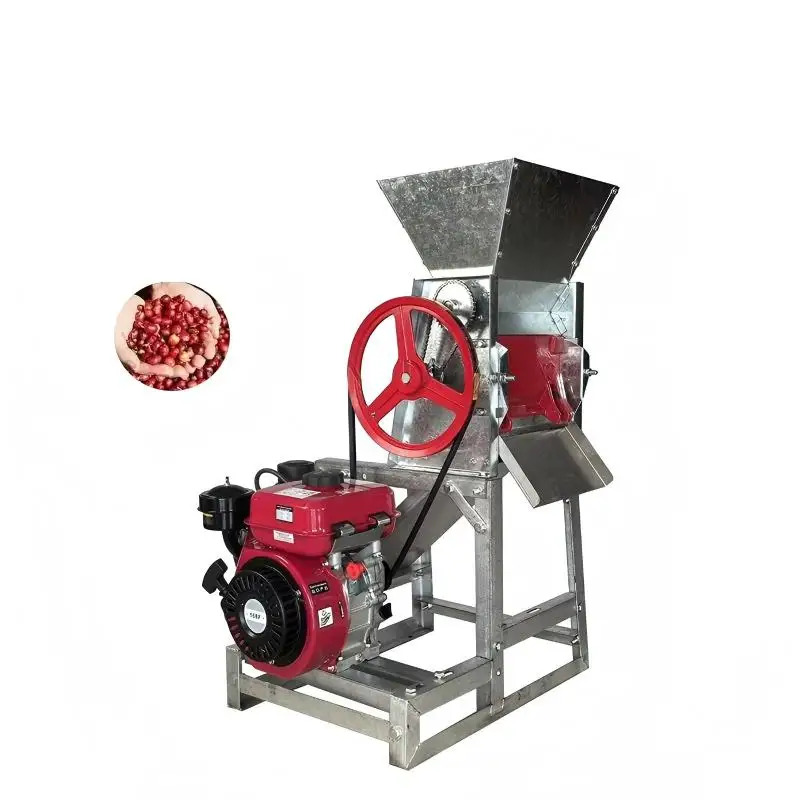 Coffee Equipment Usa - ビルイ高生産性ステンレス鋼コーヒー豆パルパー-100-500KG/H容量穀物加工装置